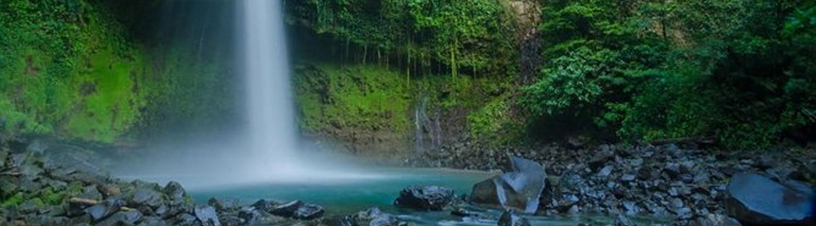 Arenal Hanging Bridges + La Fortuna Waterfall Hike Tour 2