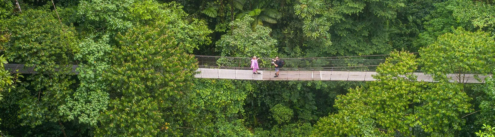 Arenal Hanging Bridges + La Fortuna Waterfall Hike Tour 3
