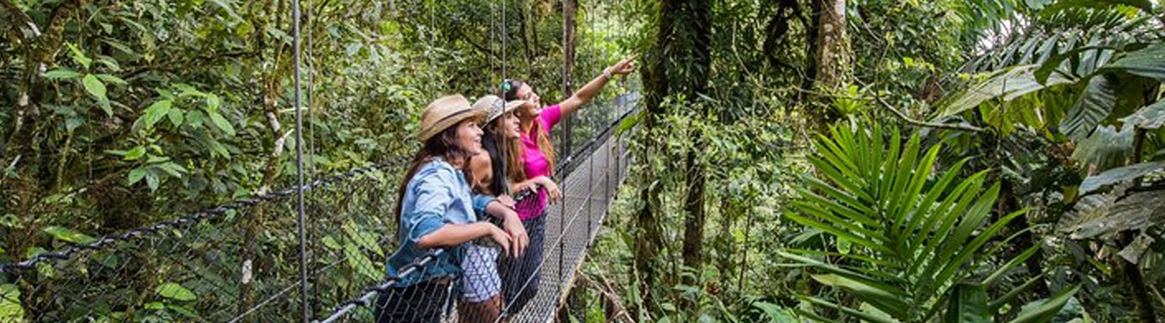 Arenal Hanging Bridges + La Fortuna Waterfall Hike Tour 4