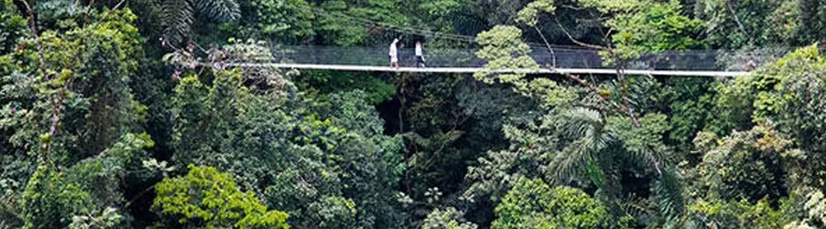 Arenal Hanging Bridges + La Fortuna Waterfall Hike Tour 6