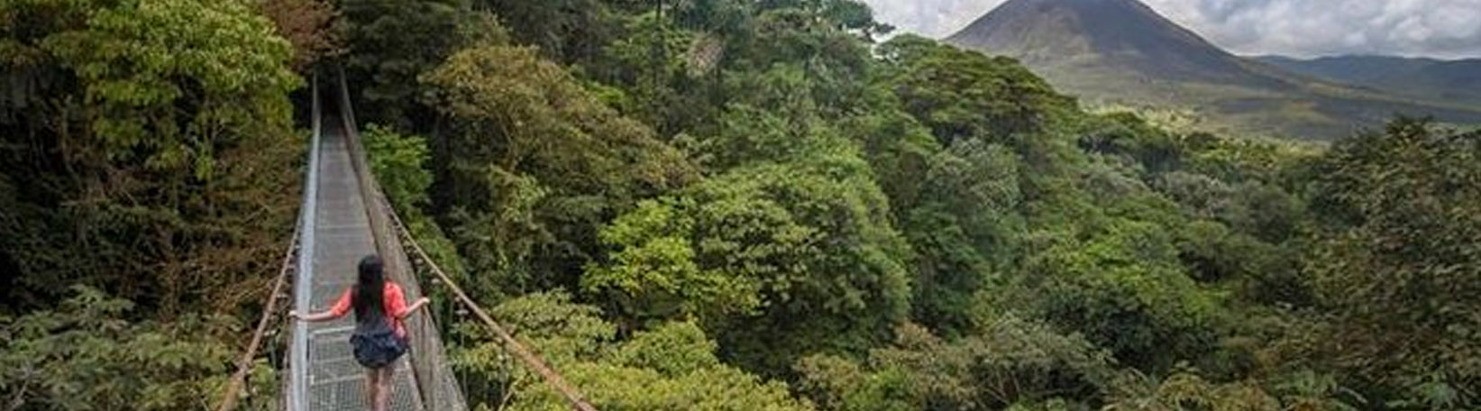 Arenal Hanging Bridges + La Fortuna Waterfall Hike Tour 7