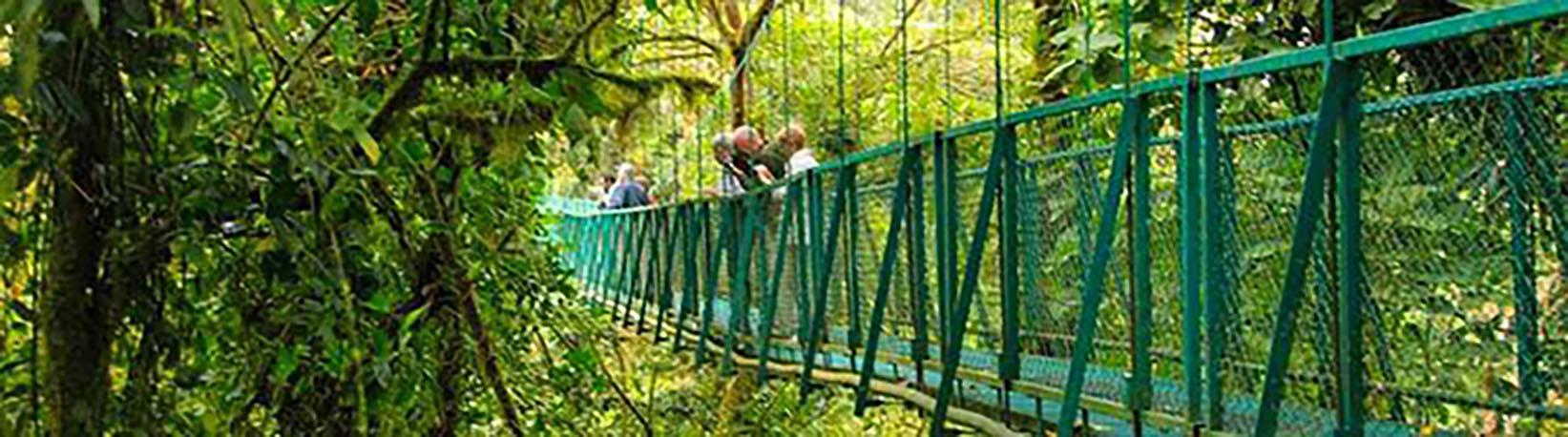 Arenal Hanging Bridges Tour 1