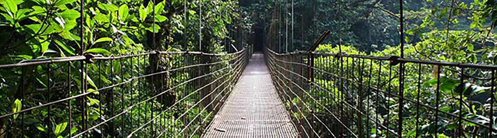 Arenal Hanging Bridges Tour 2