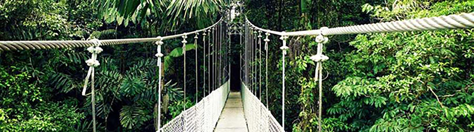 Arenal Hanging Bridges Tour 5
