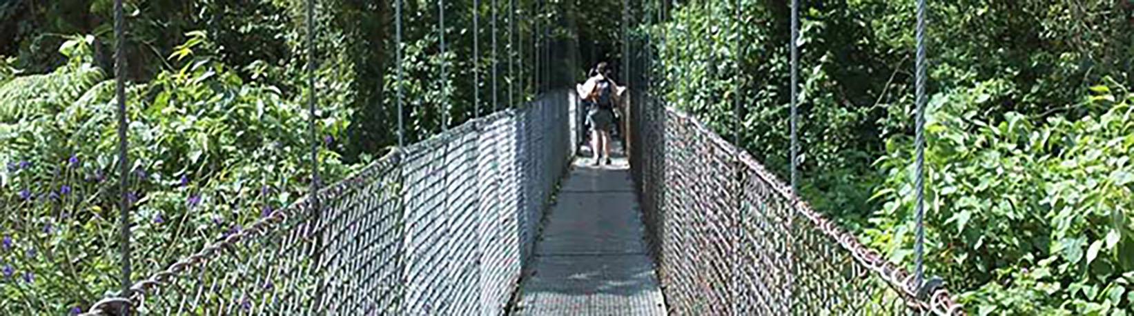 Arenal Hanging Bridges Tour 6