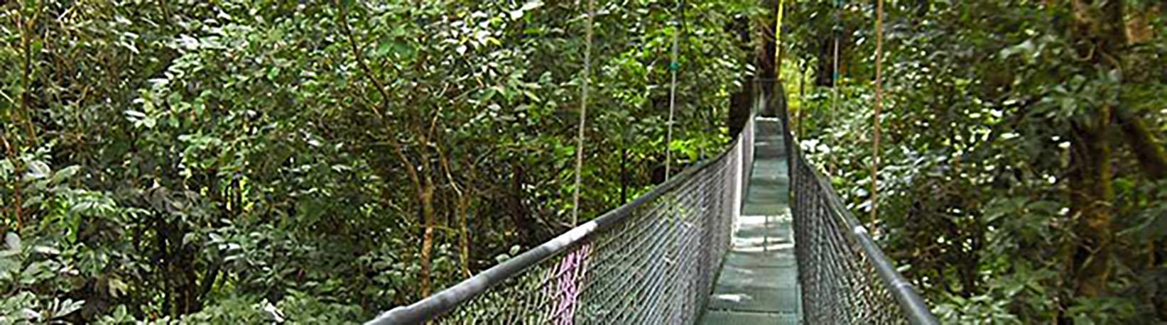 Arenal Hanging Bridges Tour 8