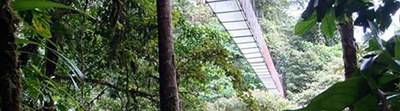 Top 4 Arenal Tours Super Combo Tour 2