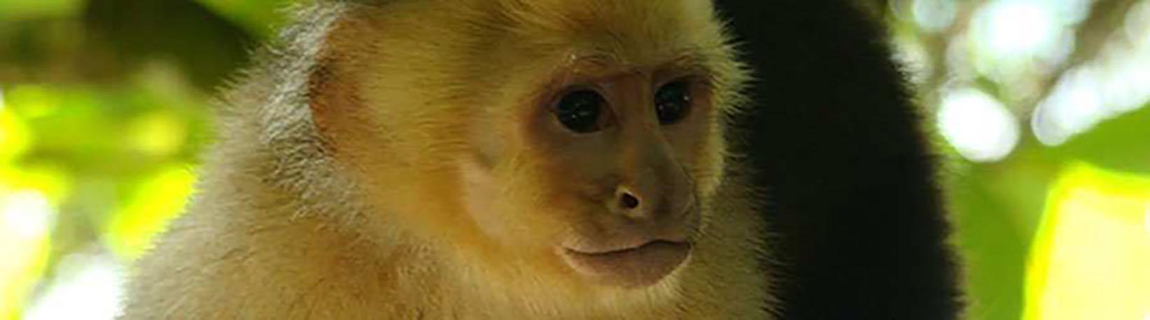 Top 4 Arenal Tours Super Combo Tour 3