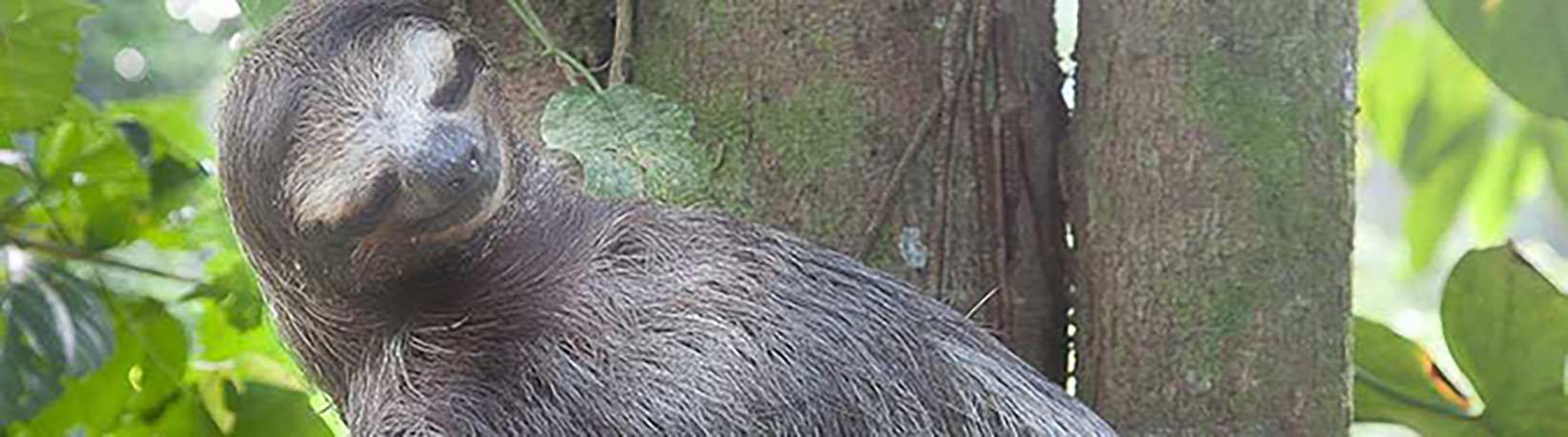 Top 4 Arenal Tours Super Combo Tour 4