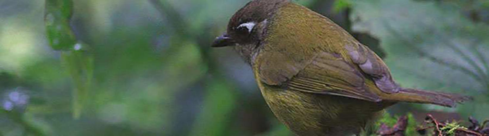 Top 4 Arenal Tours Super Combo Tour 5