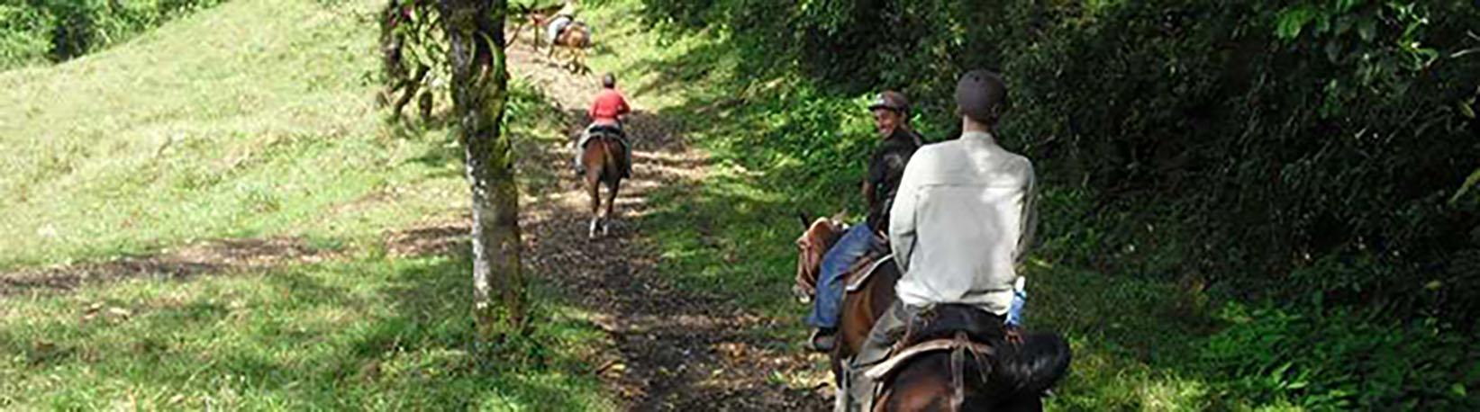 Arenal Volcano Horseback Ride & Hot Springs Tour 7