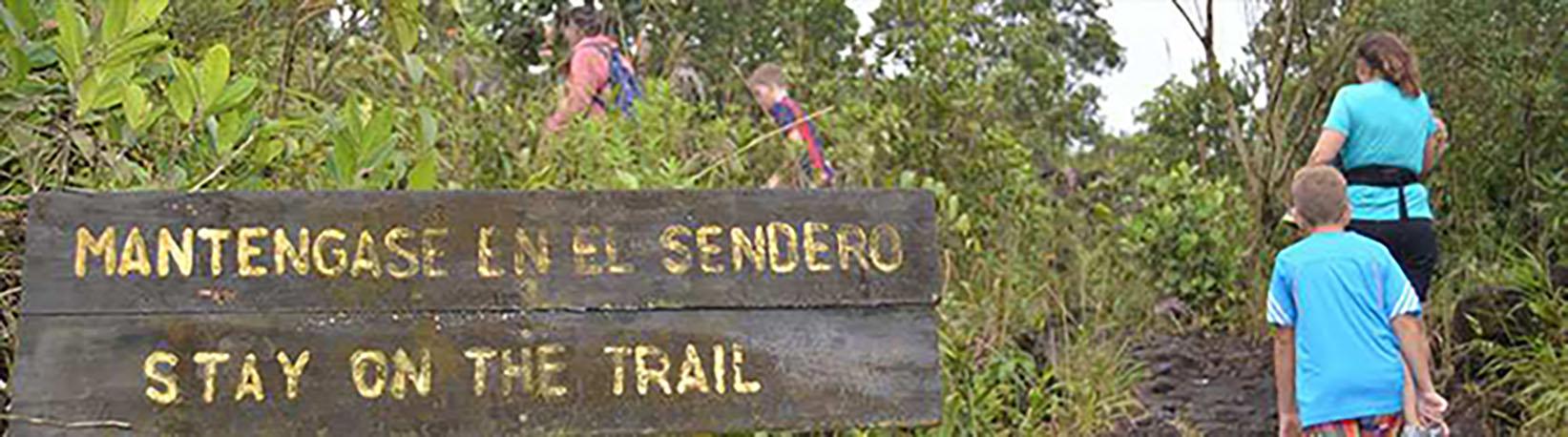 Arenal Volcano Hike + Hot Springs (Optional) Tour 3