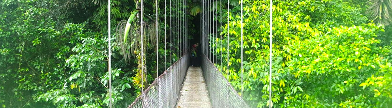 Balsa River Rafting + Arenal Hanging Bridges Combo Tour Tour 4