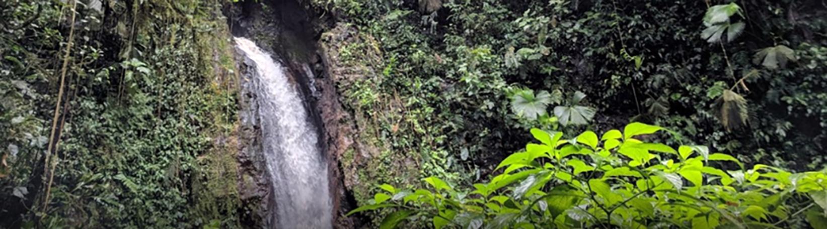 Balsa River Rafting + Arenal Hanging Bridges Combo Tour Tour 6