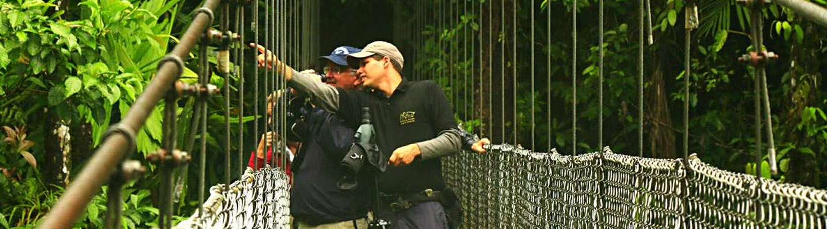 Bird Watching Mistico Hanging Bridges Tour 5