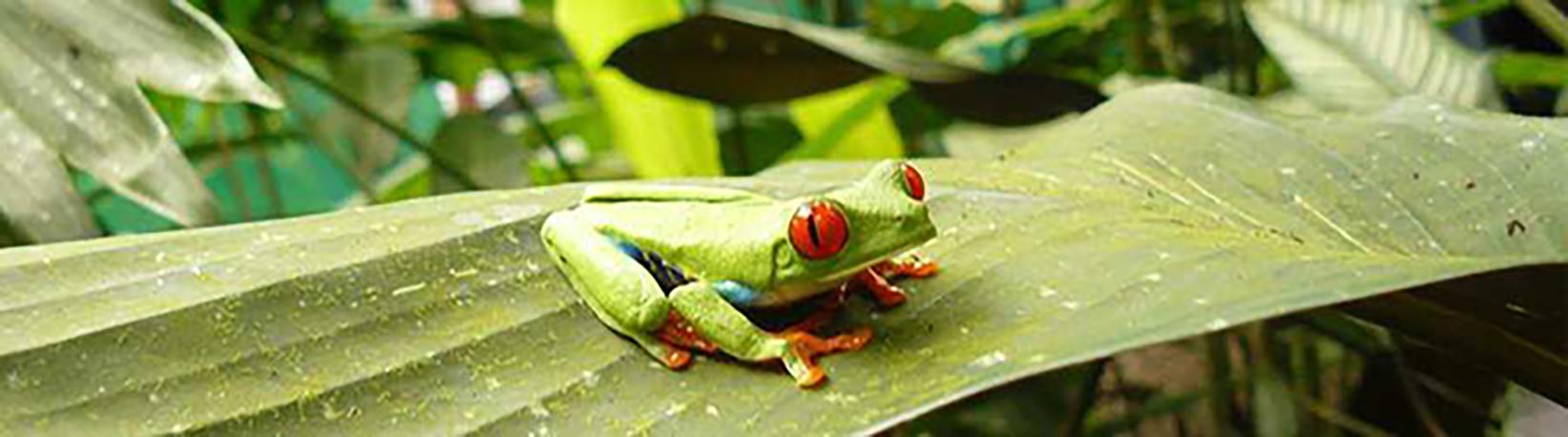Butterfly Garden at Danaus Eco-Center Tour 3