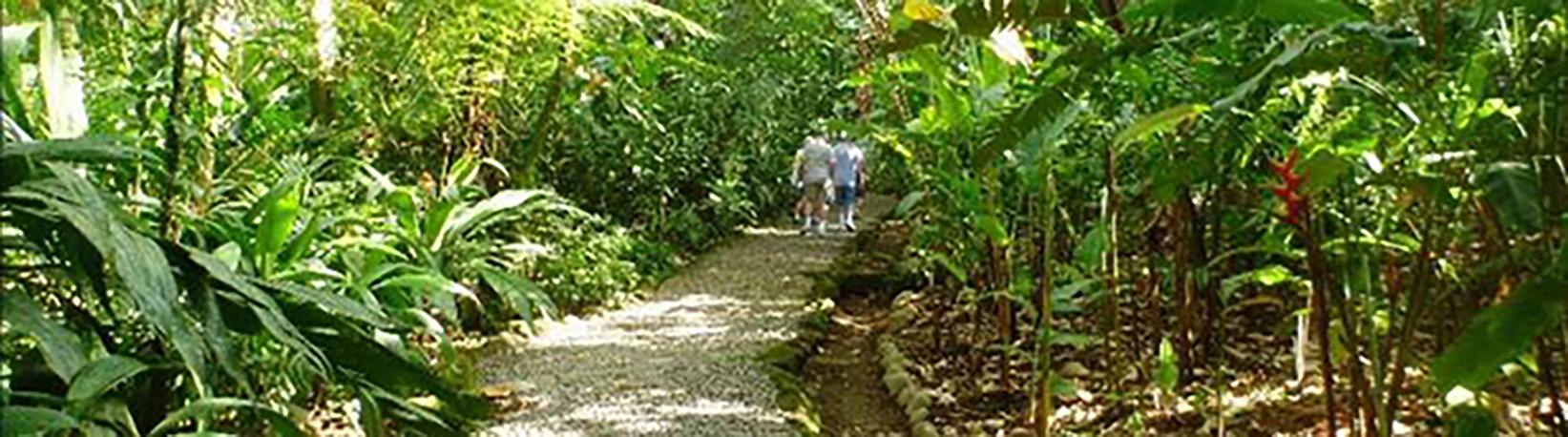 Butterfly Garden at Danaus Eco-Center Tour 4