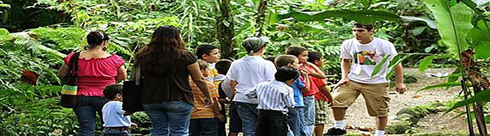 Butterfly Garden at Danaus Eco-Center Tour 5