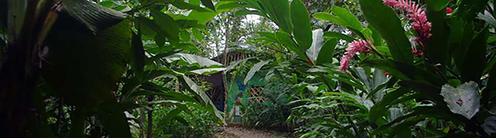 Butterfly Garden at Danaus Eco-Center Tour 7