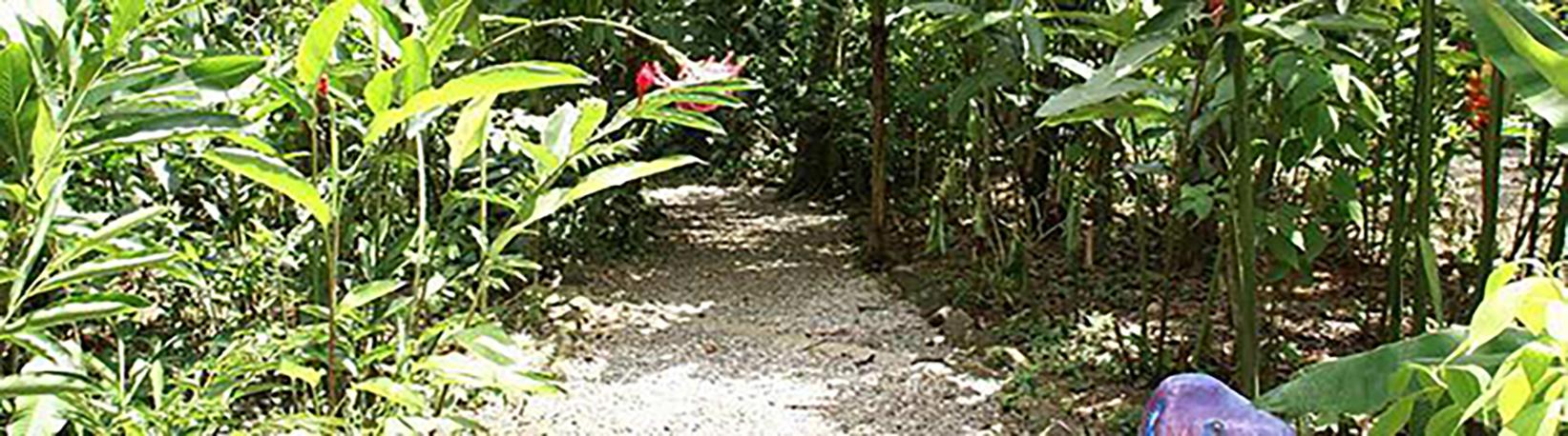 Butterfly Garden at Danaus Eco-Center Tour 8