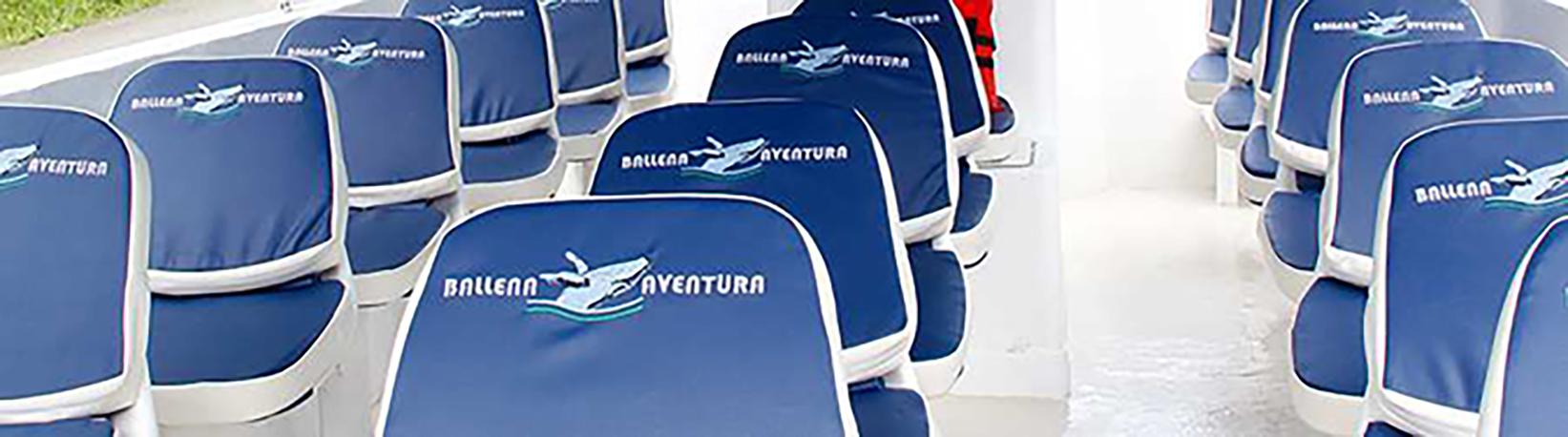 Caño Island Biological Reserve Snorkel Tour 5