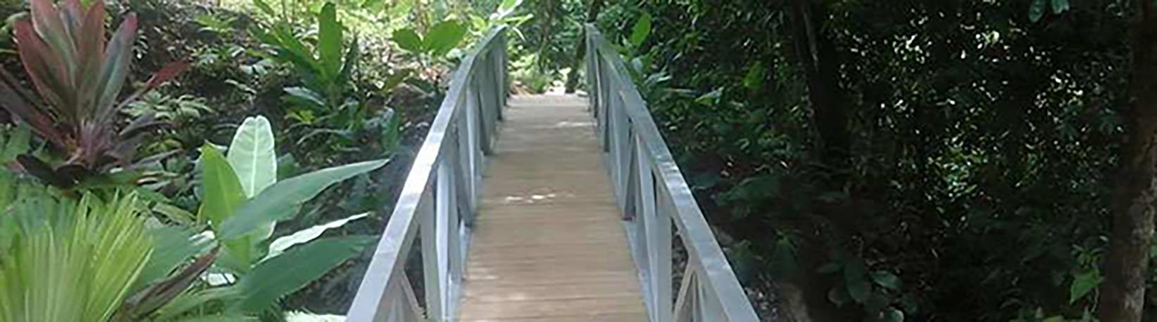 Caño Island & Drake Bay Butterfly Garden Combo Tour 7