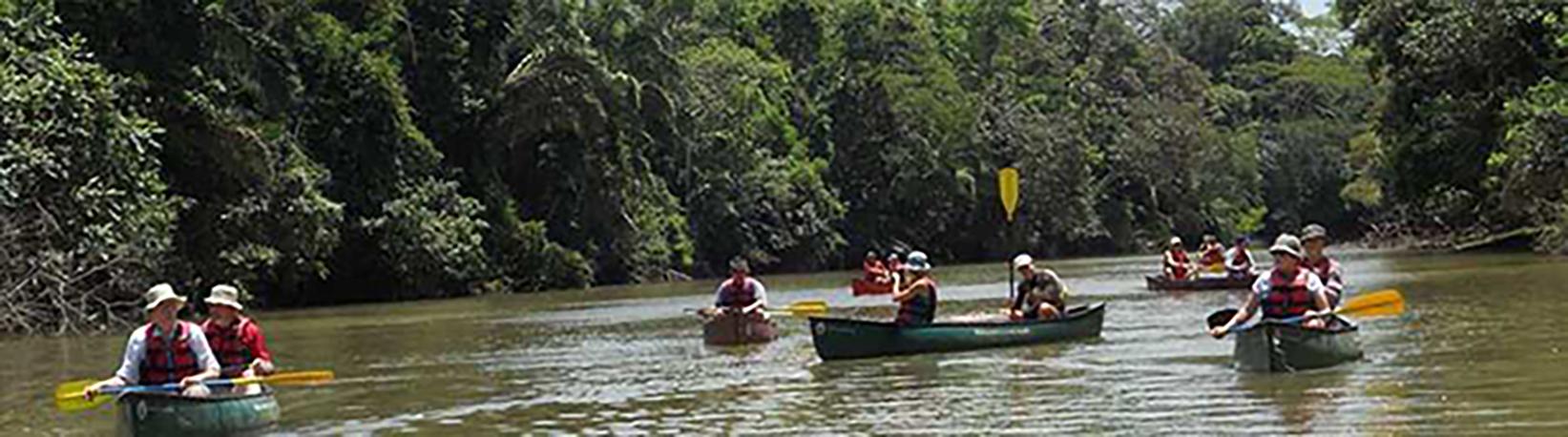 Canoe Caño Negro Tour 2