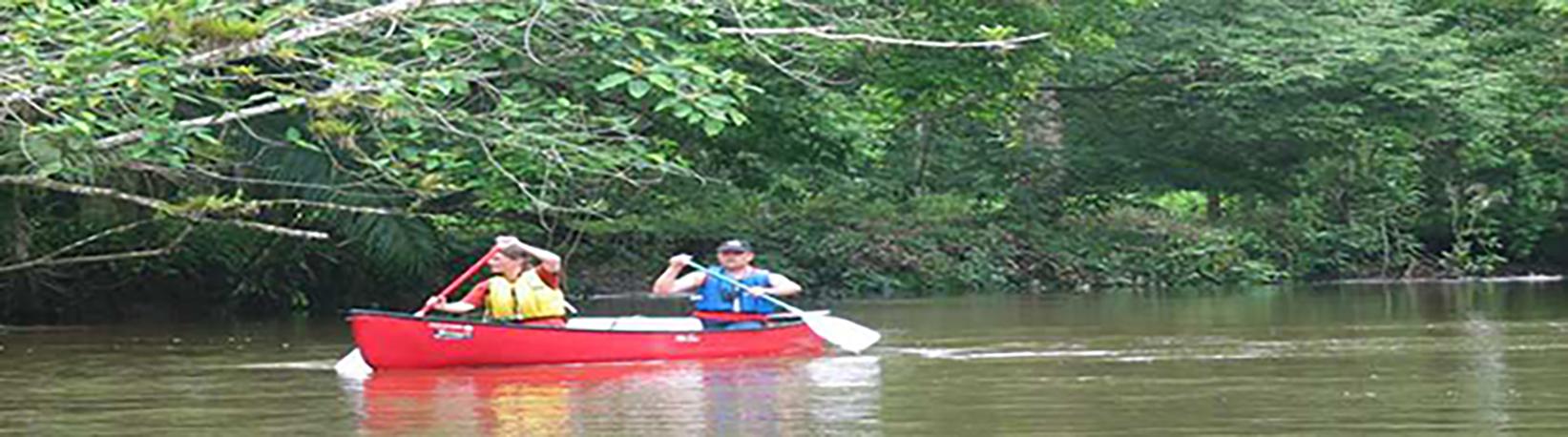Canoe Caño Negro Tour 3