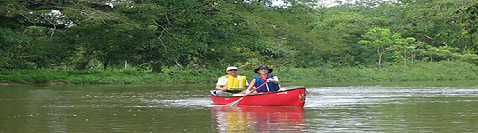 Canoe Caño Negro Tour 5
