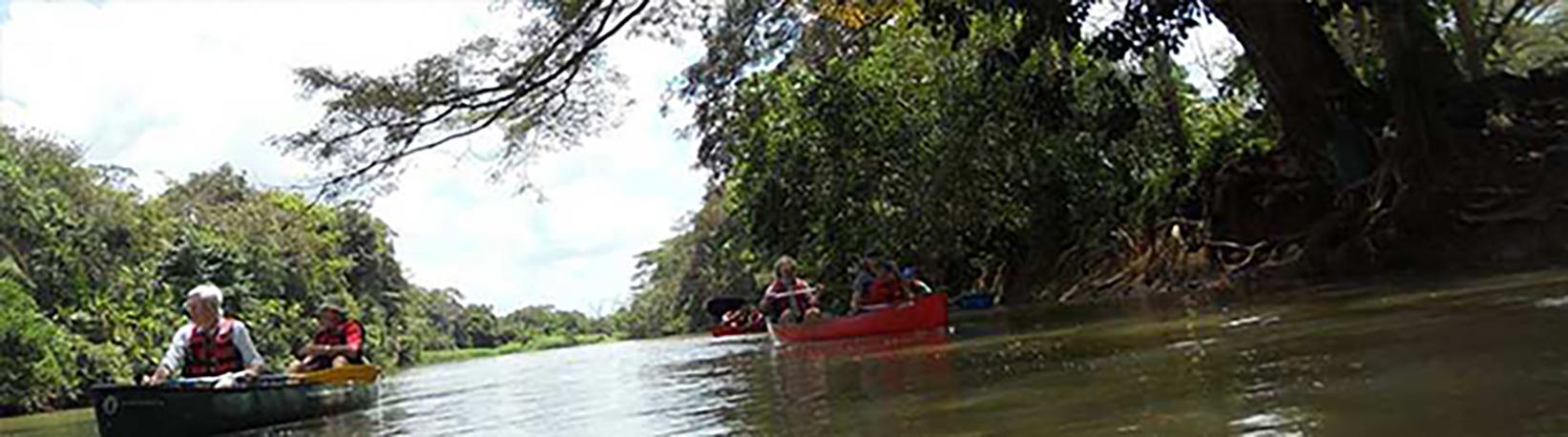 Canoe Caño Negro Tour 7