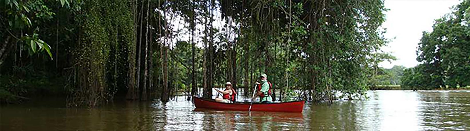 Canoe Caño Negro Tour 8