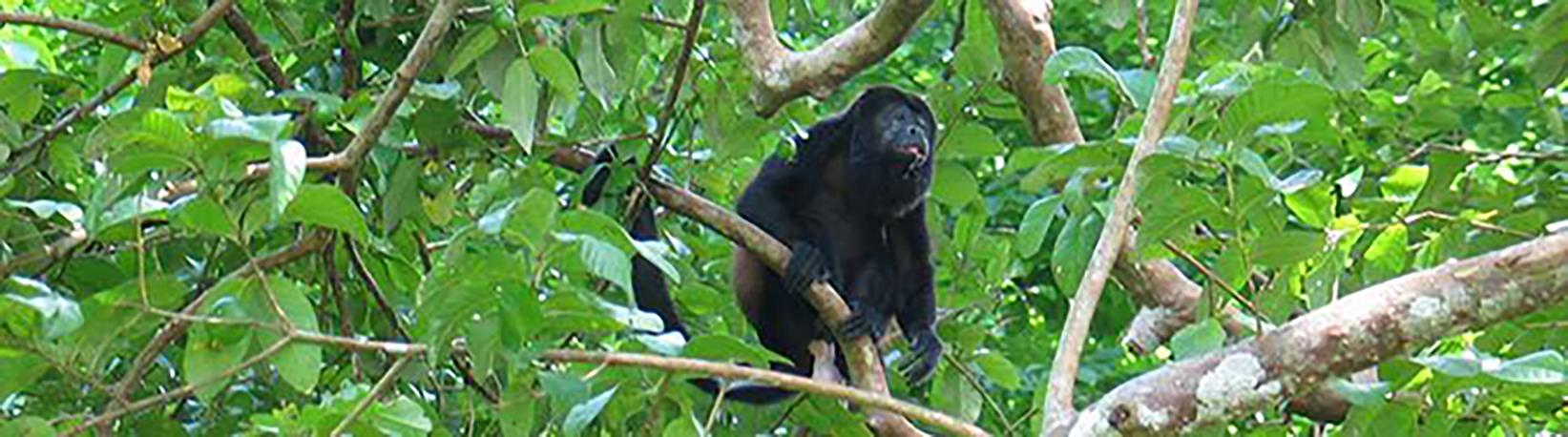 Canoe Safari Float Tour 8