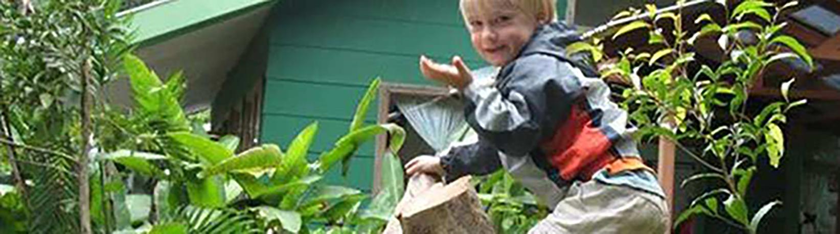 Children‘s Rainforest Tour Tour 1