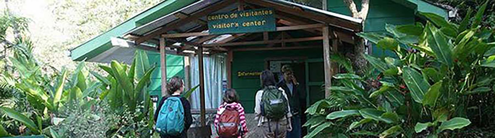 Children‘s Rainforest Tour Tour 4