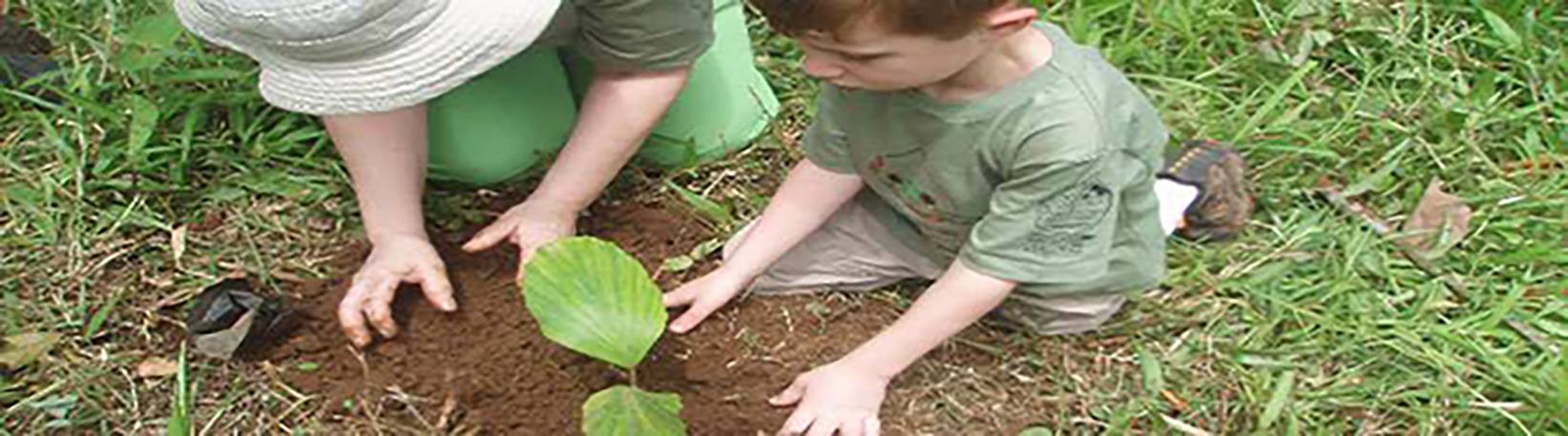 Children‘s Rainforest Tour Tour 6
