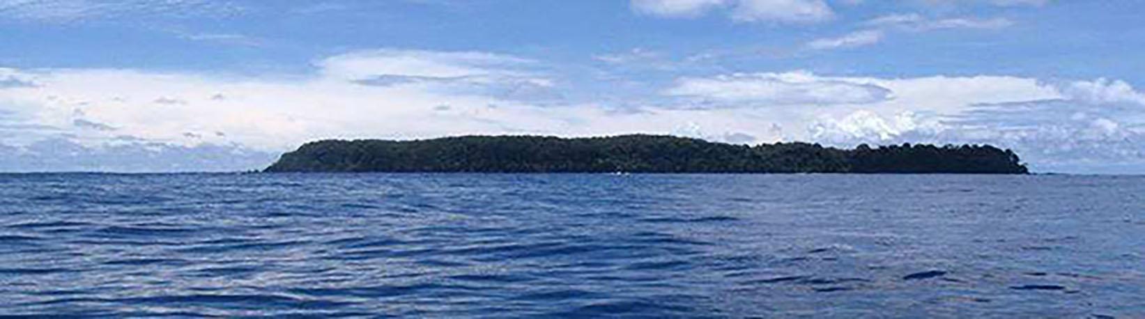 Corcovado Hike and Caño Island Snorkel Super Combo 1