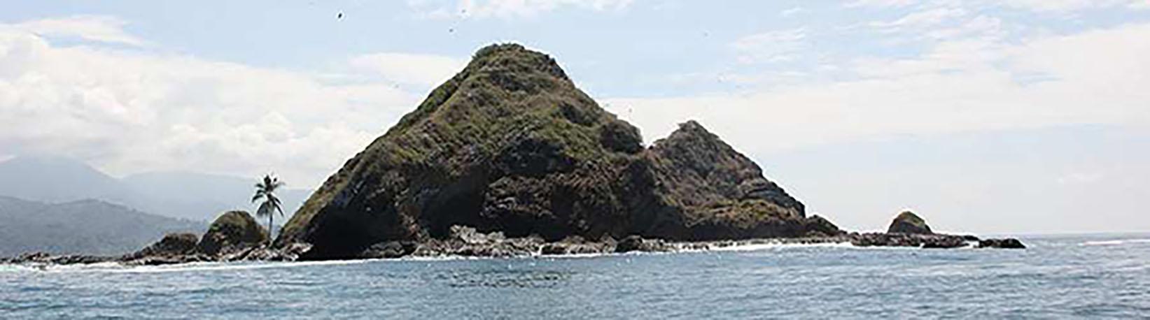 Corcovado Hike and Caño Island Snorkel Super Combo 7