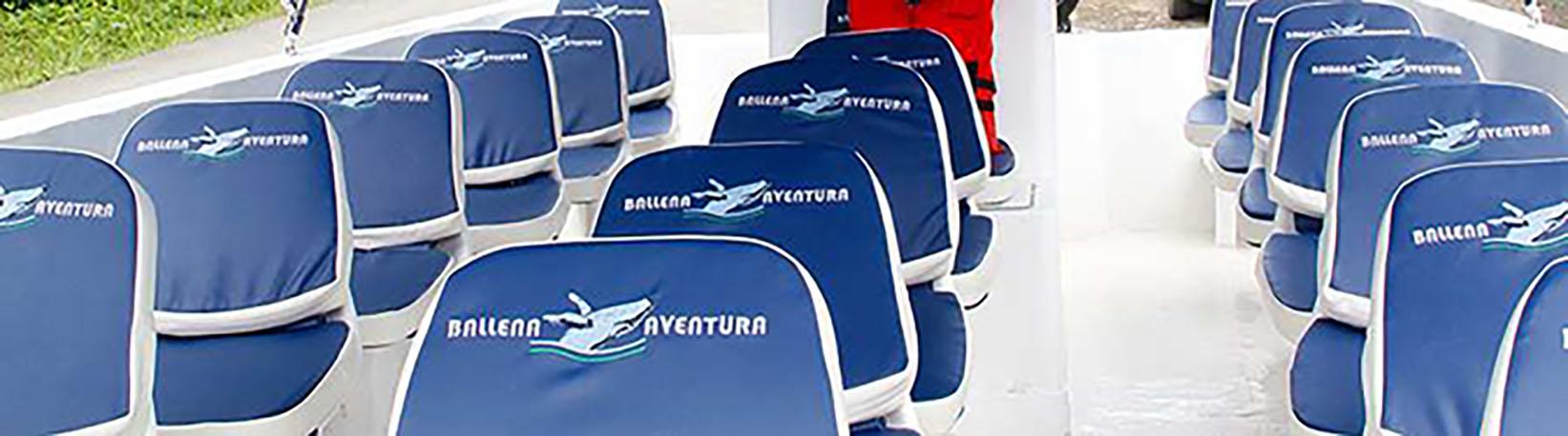 Corcovado Hike and Caño Island Snorkel Super Combo 8