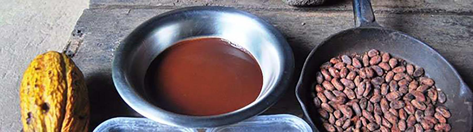 Costa Rica Chocolate Tour + Balsa River Rafting Class II/III Rapids Tour 1