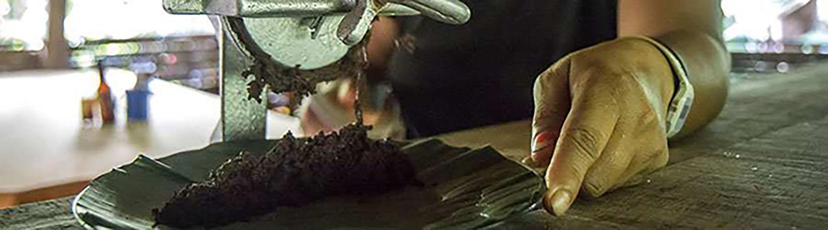 Costa Rica Chocolate Tour + Balsa River Rafting Class II/III Rapids Tour 5