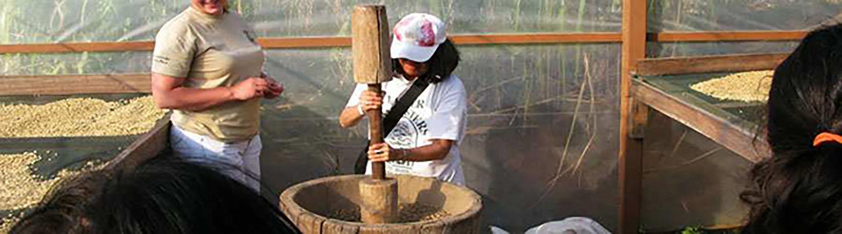 Costa Rica Coffee Tour Tour 2