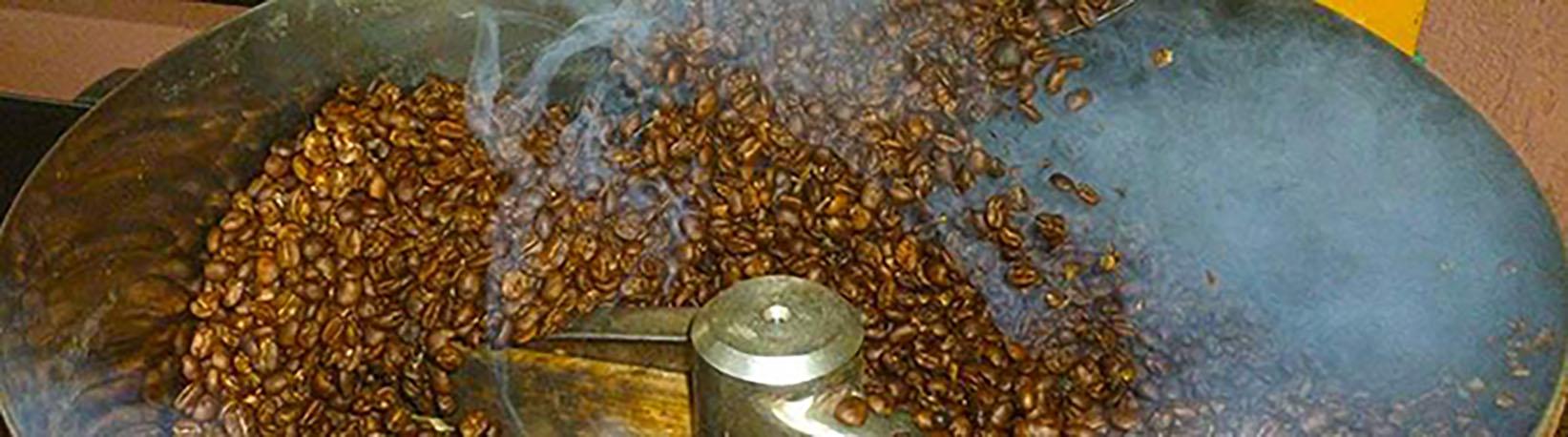 Costa Rica Coffee Tour Tour 4