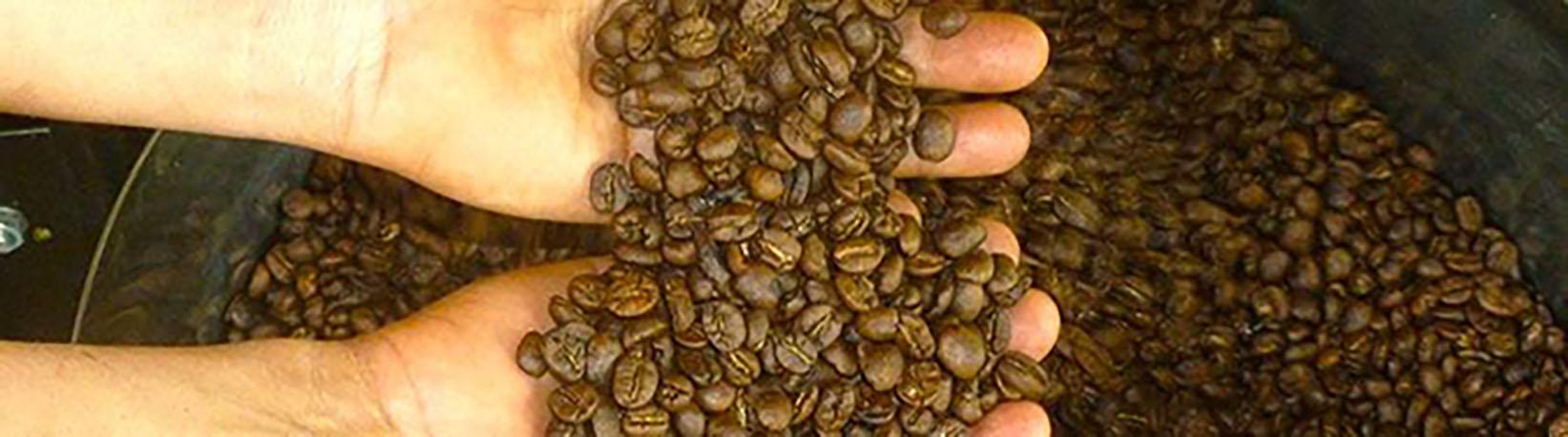 Costa Rica Coffee Tour Tour 5