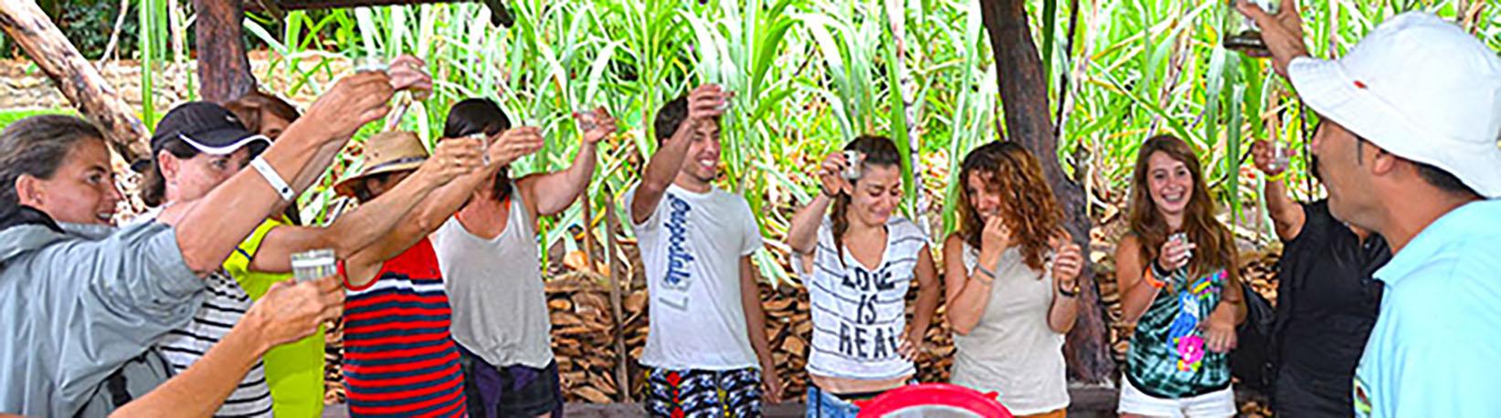 Costa Rica Coffee Tour Tour 6