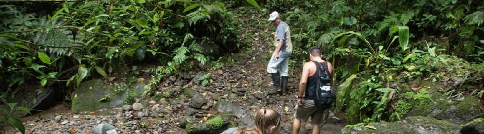 El Burrito Mountain & Waterfall Trail + Children’s Eternal Rainforest Hike Tour 3