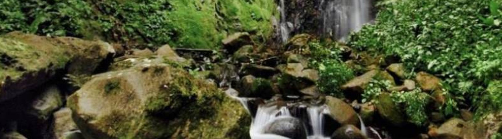 El Burrito Mountain & Waterfall Trail + Children’s Eternal Rainforest Hike Tour 4