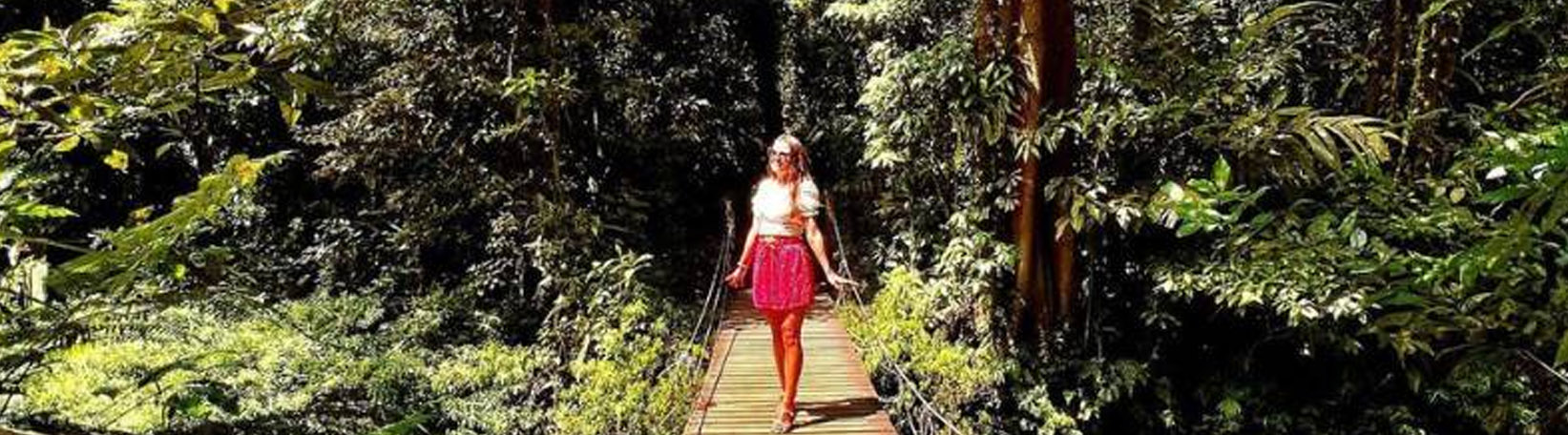 El Burrito Mountain & Waterfall Trail + Children’s Eternal Rainforest Hike Tour 5