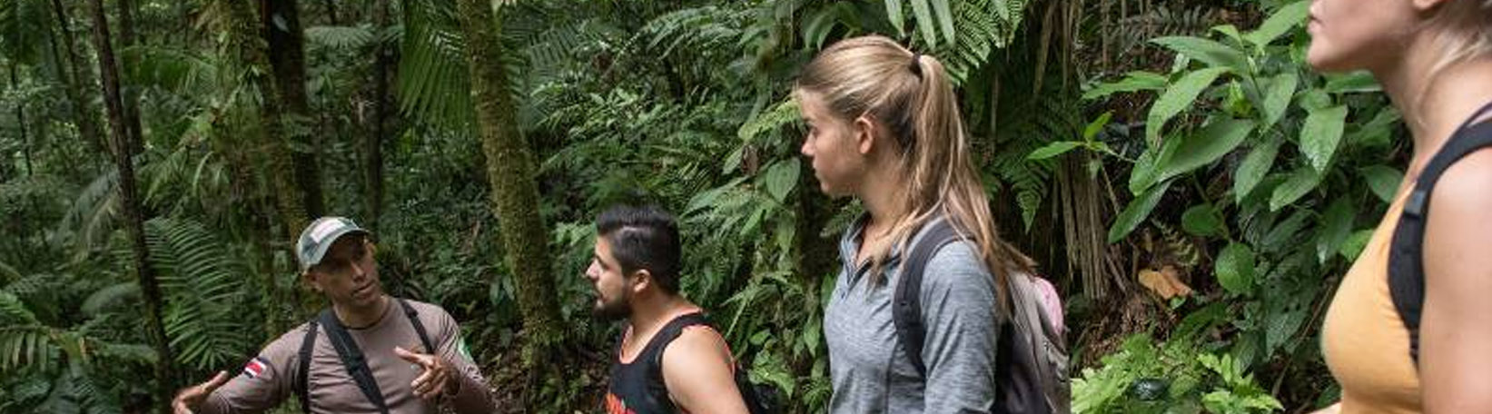 El Burrito Mountain & Waterfall Trail + Children’s Eternal Rainforest Hike Tour 6