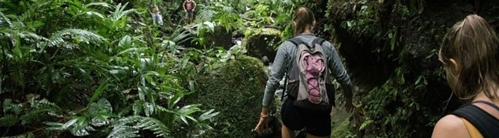 El Burrito Mountain & Waterfall Trail + Children’s Eternal Rainforest Hike Tour 7