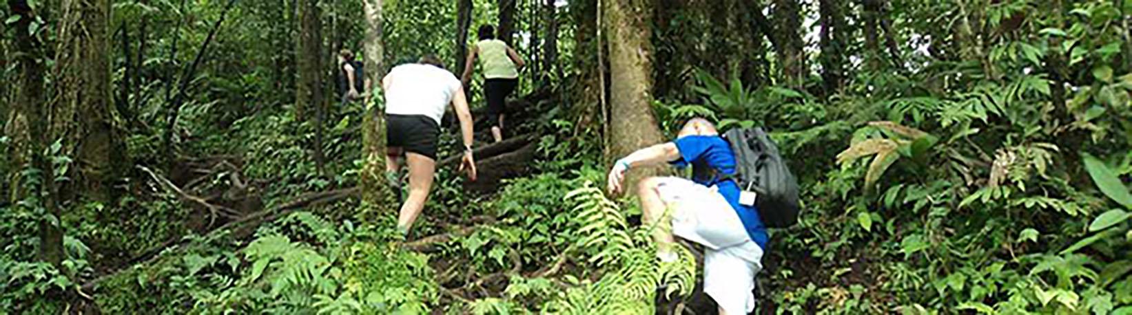 El Cerro Chato Volcano Hike Tour 2